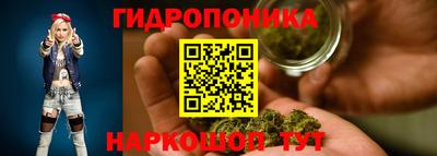 соль ск Будённовск