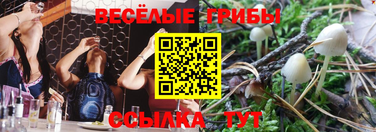 Галлюциногенные грибы MAGIC MUSHROOMS Котовск